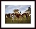 Art Poster Wood Framed Print - Sir Horace Farquhar's Chestnut Colt 'Nouveau Riche' In...