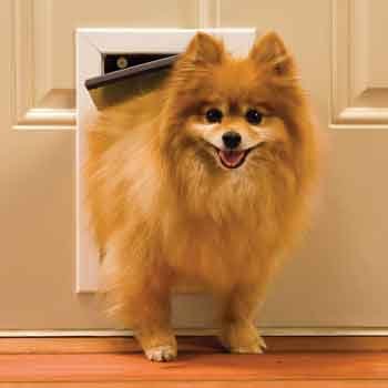 PetSafe Small Freedom Aluminum Pet Door, Premium White
