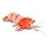 Shrimp 8" by Wild Life Artist
