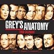 Grey's Anatomy 2009 Wall Calendar