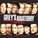 Grey's Anatomy 2009 Wall Calendar