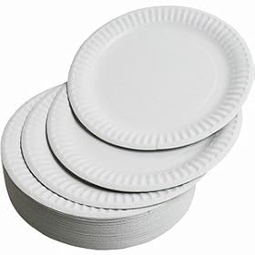 Paper Plates (Large - Pack of 100)