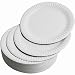 Paper Plates (Large - Pack of 100)