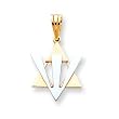 14k Fancy Star of David with Shin Pendant