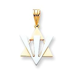 14k Fancy Star of David with Shin Pendant