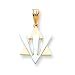 14k Fancy Star of David with Shin Pendant