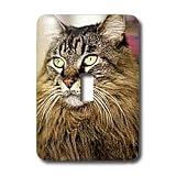 Cats - Maine Coon - Light Switch Covers - single toggle switch