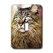 maine coon - Cats - Maine Coon - Light Switch Covers - single toggle switch