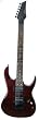 Jinyin Electric Guitar Model E440