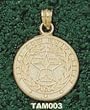 Texas A&M Univ Seal Charm/Pendant