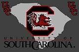 South Carolina Gamecocks 3' x 5' Small Top View Area Rug