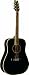 Washburn D10S B Acoustic Guitar - Black