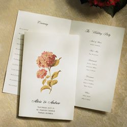 Laura Ashley Hydrangea Program Paper