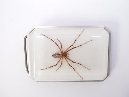 Lucite Treasures Wasp Spider Buckle Rectangular White