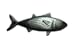 Aphrodite(アフロディーテ) ネクタイピン 魚 クロマグロ 黒鮪 銀色 日本製