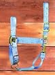 Hamilton Deluxe 1" Nylon Horse Halter with Adjustable Chin and Snap, Berry, Small/Cob (500-800 lbs)