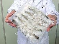 20cm超特大5Lサイズ下処理済み海老10尾