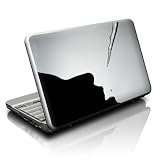Netbook Skin - Thaw