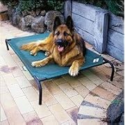 Coolaroo Pet Bed, Green with Black Frame, Large, 317287