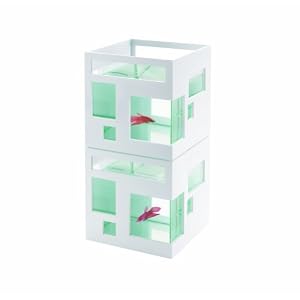Fish Condo Aquarium