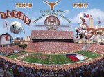 Texas Longhorns Memorial Stadium Puzzle
