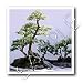 Trees - Bonsai Tree - Iron on Heat Transfers