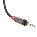 Monster Cable 3ft Mini to Mini Cable - Black (AICMINI800IP3)