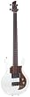 Ampeg ADA4 Dan Armstrong Plexi Bass