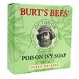 Burts Bees Poison Ivy Soap - 2 oz