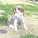 �h�M�[�}���@���C���E�F�A�@4��