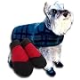 2 Tone Velcro Dog Shoes - Small (5 - 20lb Dogs)