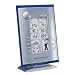 P3 INTERNATIONAL P3-E9300 Wireless Professional Weather