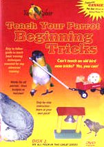 Feathered Phonics Teach Your Parrot Series DVD 2: Beginning Tricks