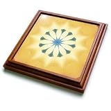 Houk Digital Abstraction Art - Fancy Kaleidoscopes - Duminescent Special Brooch Mandala - Trivets