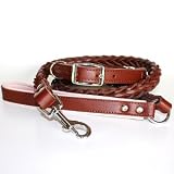Deluxe Hand-braided 8-strand Semi-lustre Harness Leather Dog Collar and Leash Set
