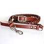 Handcrafted 8-Thong Full Braided Semi-Glossy Harness Leather Dog Collar and Leash Set - Chocolate Brown