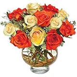 Roses - Harvest Moon Roses