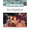 The Coral Reef by  Pam/ Wood, Elaine Walker