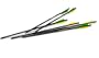 Excalibur 20-Inch Firebolt Carbon Arrows (6-Pack)