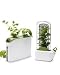 Herb Savor