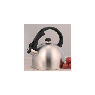 Satin Symmetry 1.5 qt. Tea Kettle