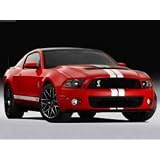 2010 - 2011 2012 Ford Mustang Cobra GT500 4 Rally Stripe Graphics set by Superb