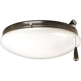 Progress Lighting Fan Glass Filter and Light Kit P2611-20 Antique Bronze