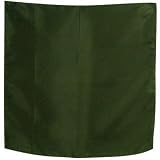 Forzieri Dark Green Silk Pocket Square