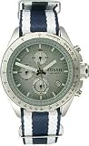 Fossil Nylon Chronograph Gray Dial Watch