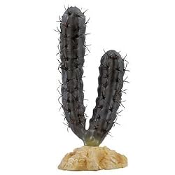 RZIL LADY FINGER CACTUS 8" PLT