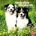 Australian Shepherds 2010 Wall Calendar