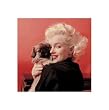 Marilyn Monroe - Puppy - 16 x 16 Poster