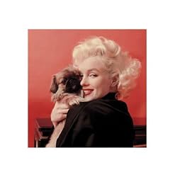 Marilyn Monroe - Puppy - 16 x 16 Poster