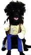 Grrroovy Dog Costume
